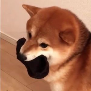 Meet your Posher, Xaine